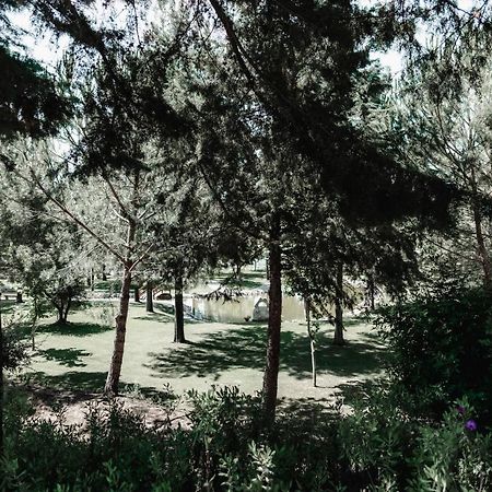 Quinta Do Cerrado Setubal Pensionat Exteriör bild